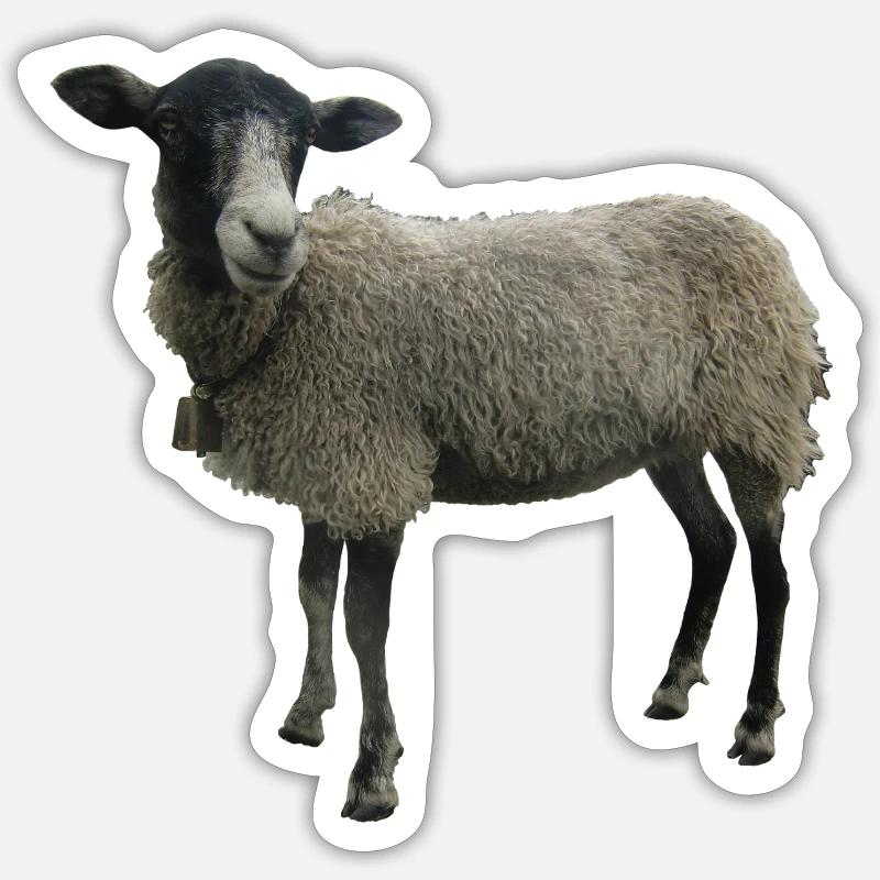Sheep - Sticker size S (10 x 10 cm) - white matte