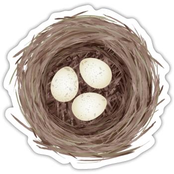 Bird's Nest with Three Eggs – Natural Illustration - Sticker size S (10 x 10 cm) - white matte - Front