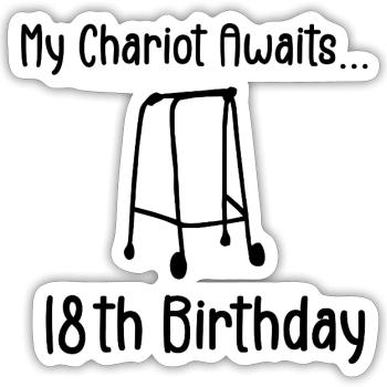 18th Birthday Party Funny 18 Years Old Birthday - Sticker size S (10 x 10 cm) - white matte - Front