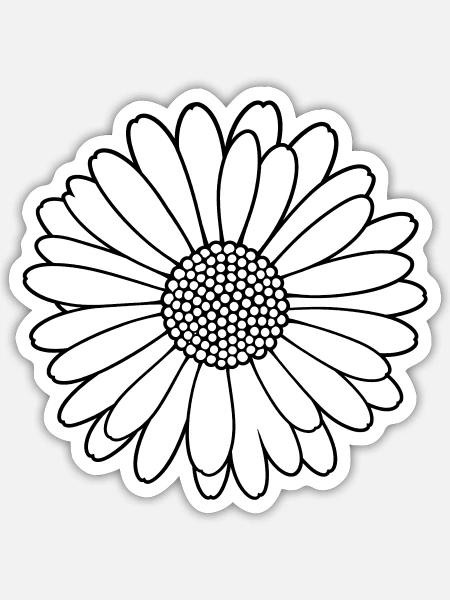 Gänseblümchen – Blüte Frühling Natur - Sticker Größe S (10 x 10 cm) - Mattweiß