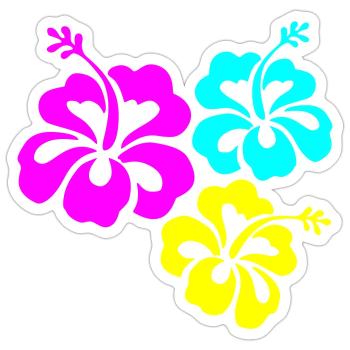 Hibiskus Hibiskusblüte hibiscus - Sticker size S (10 x 10 cm) - white matte - Front