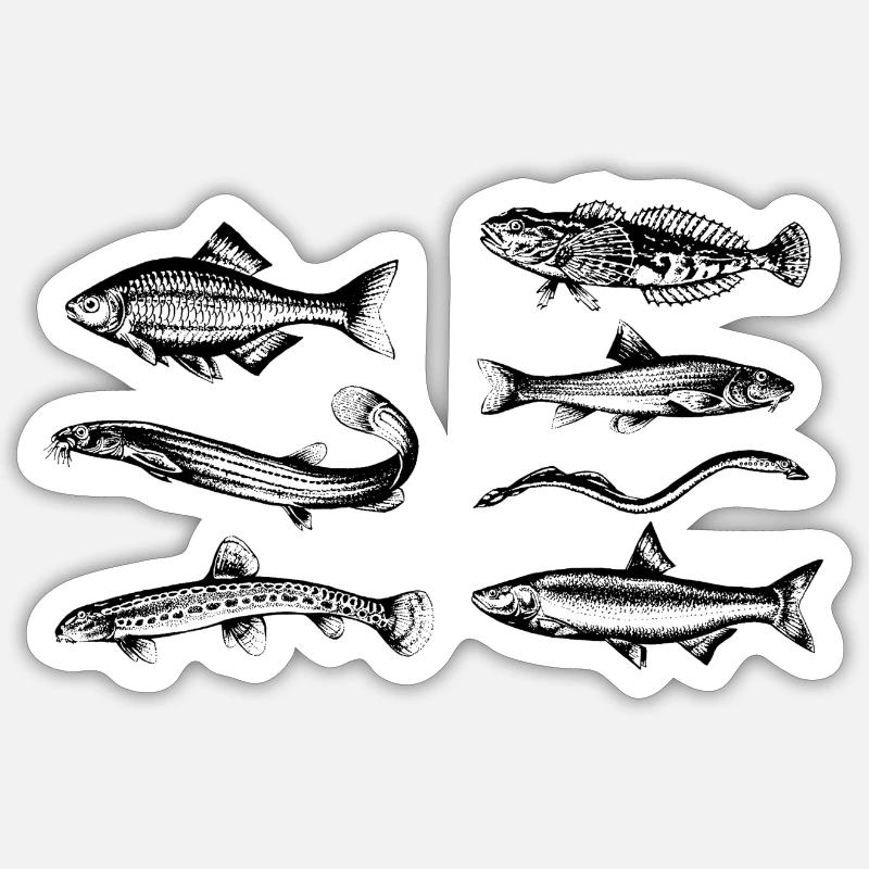 Fische FFH-Arten - Sticker Größe S (10 x 10 cm) - Mattweiß