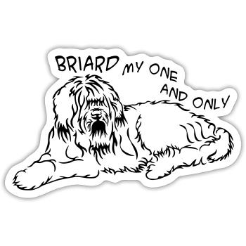 Briard_mitSchrift - Sticker Größe S (10 x 10 cm) - Mattweiß - Vorne