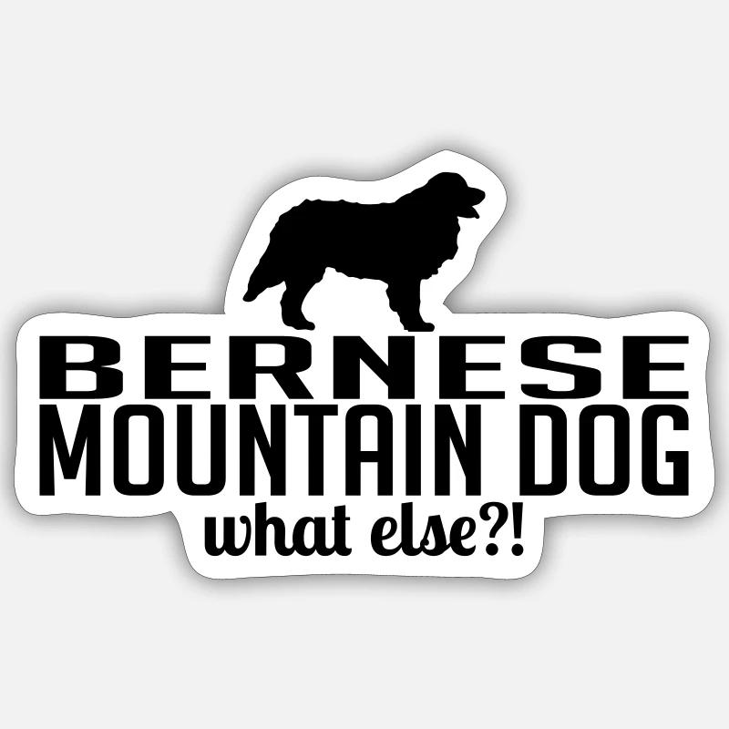 BERNESE MOUNTAIN DOG what else - Sticker Größe S (10 x 10 cm) - Mattweiß