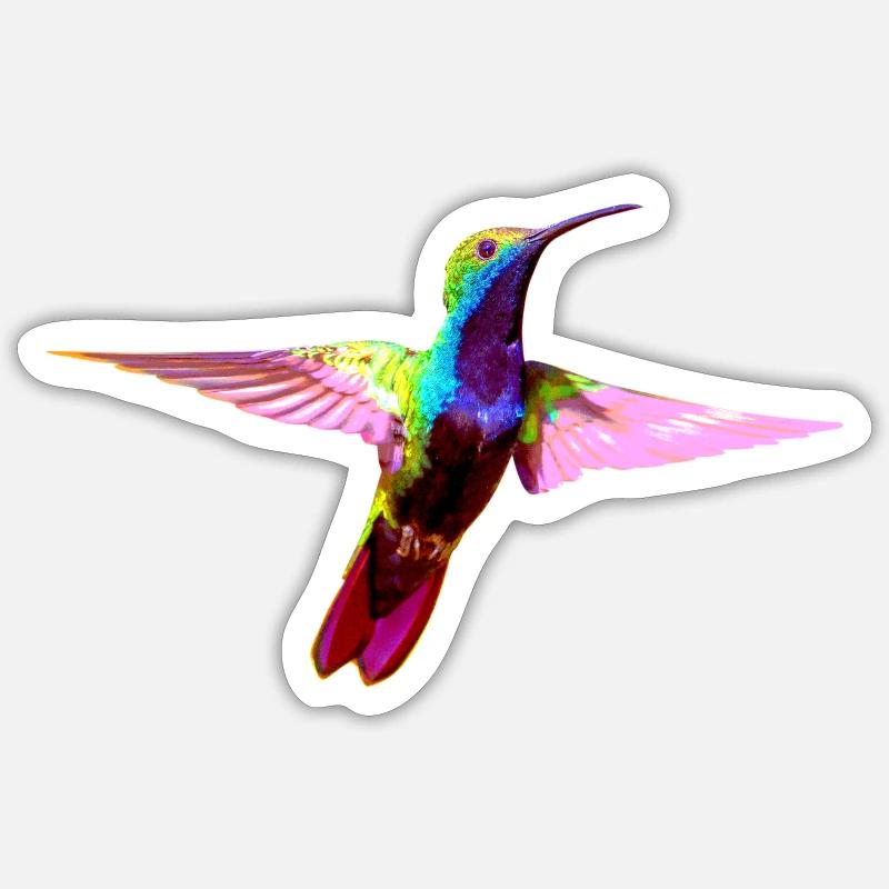 Colibri coloré - Sticker taille S (10 x 10 cm) - blanc mat