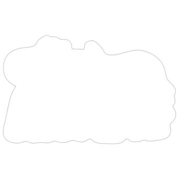 axolotl - Sticker taille S (10 x 10 cm) - blanc mat - Devant