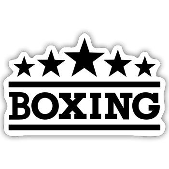 Boxing - Sticker size S (10 x 10 cm) - white matte - Front
