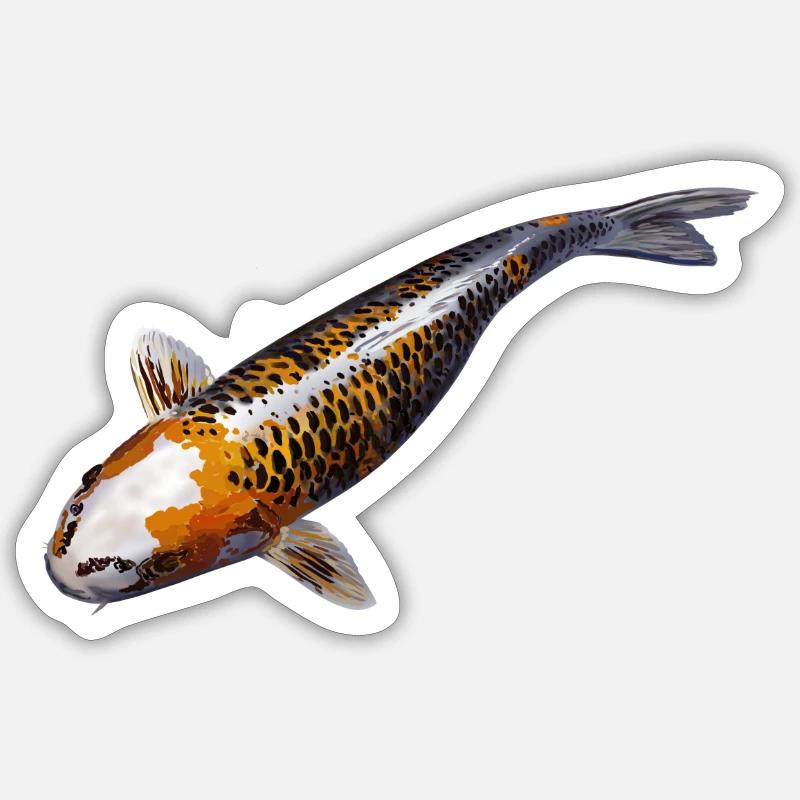 Carp koi - Sticker size S (10 x 10 cm) - white matte