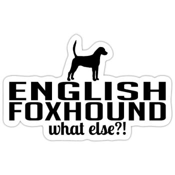 ENGLISH FOXHOUND what else Hundespruch Wilsigns - Sticker Größe S (10 x 10 cm) - Mattweiß - Vorne