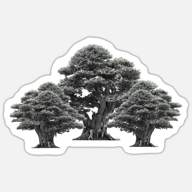Forest, Trees, Nature, Tree, Deciduous Tree, Climate, Flora Sticker size S (10 x 10 cm)