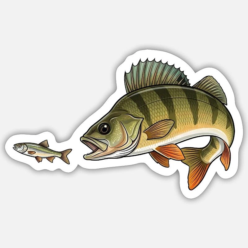 Perch hunts fish - Sticker size S (10 x 10 cm) - white matte