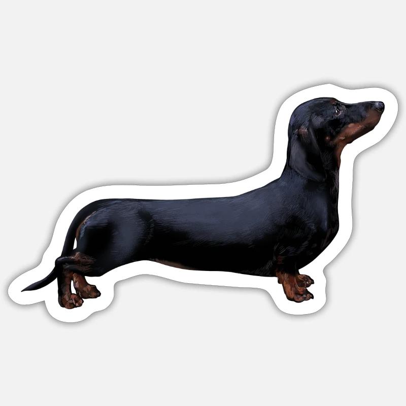 Dackel - Sticker - Mattweiß