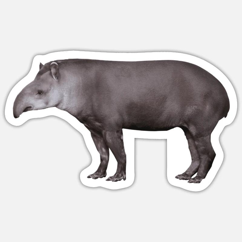 Der Tapir, Schwein oder Elefant? - Sticker Größe S (10 x 10 cm) - Mattweiß