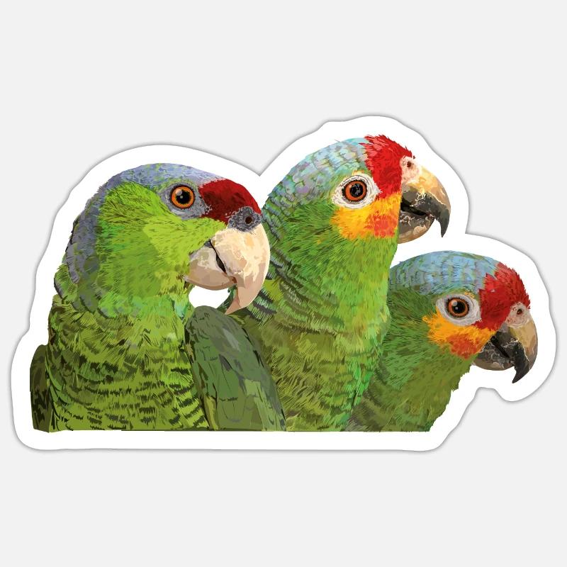 Red-fronted Amazon and lilac-crowned parrot - Sticker size S (10 x 10 cm) - white matte