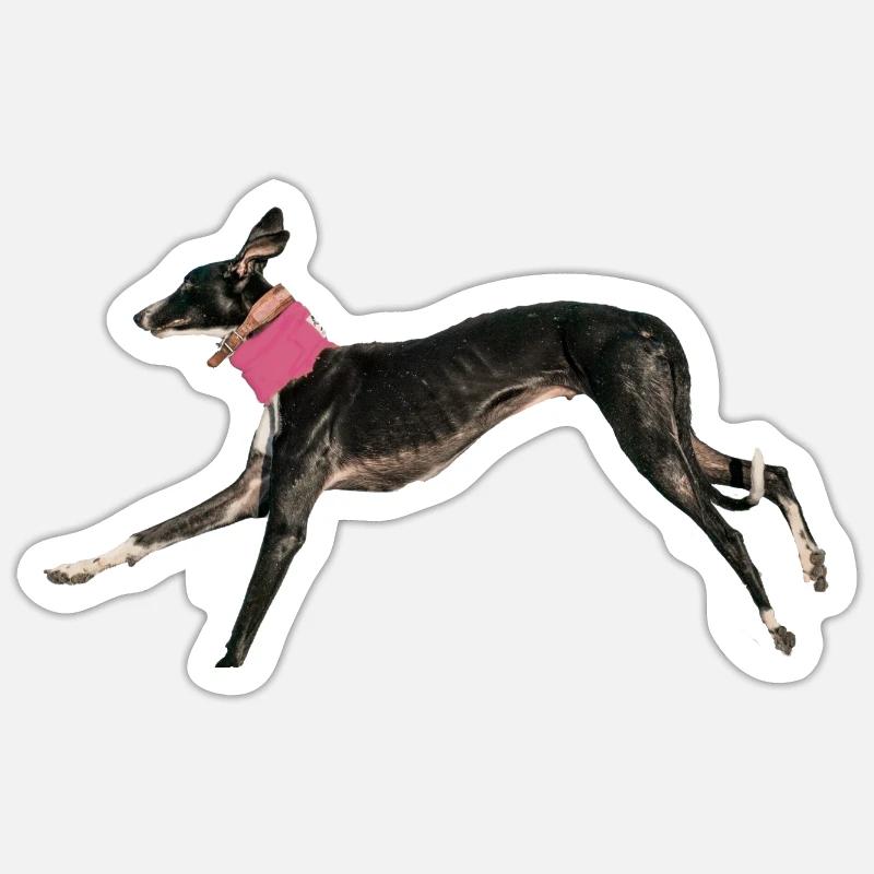 Run like the wind - Sticker taille S (10 x 10 cm) - blanc mat