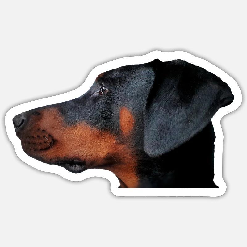 Doberman Head Realistic - Sticker size S (10 x 10 cm) - white matte