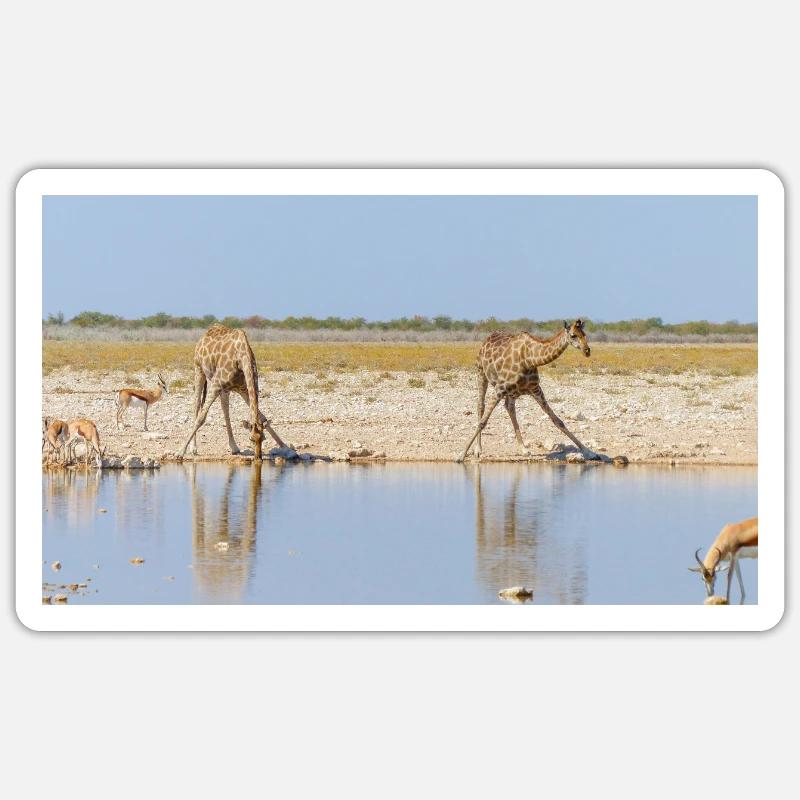 Landscape at the Cubango river with giraffe Sticker size S (10 x 10 cm)