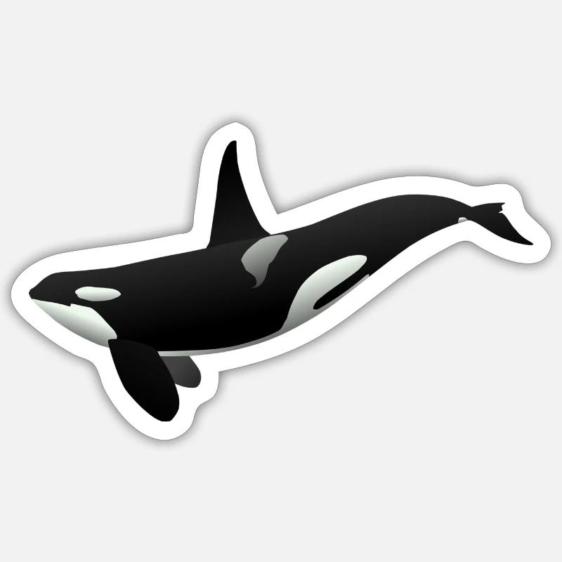 Oki l'orque épaulard - Sticker taille S (10 x 10 cm) - blanc mat