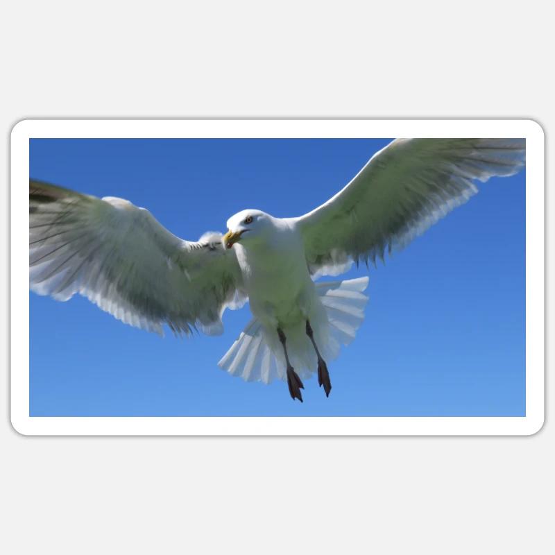 Gull Sticker size S (10 x 10 cm)