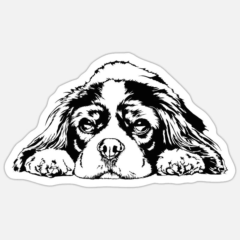 CAVALIER KING CHARLES SPANIEL Hunde Hund Wilsigns - Sticker Größe S (10 x 10 cm) - Mattweiß