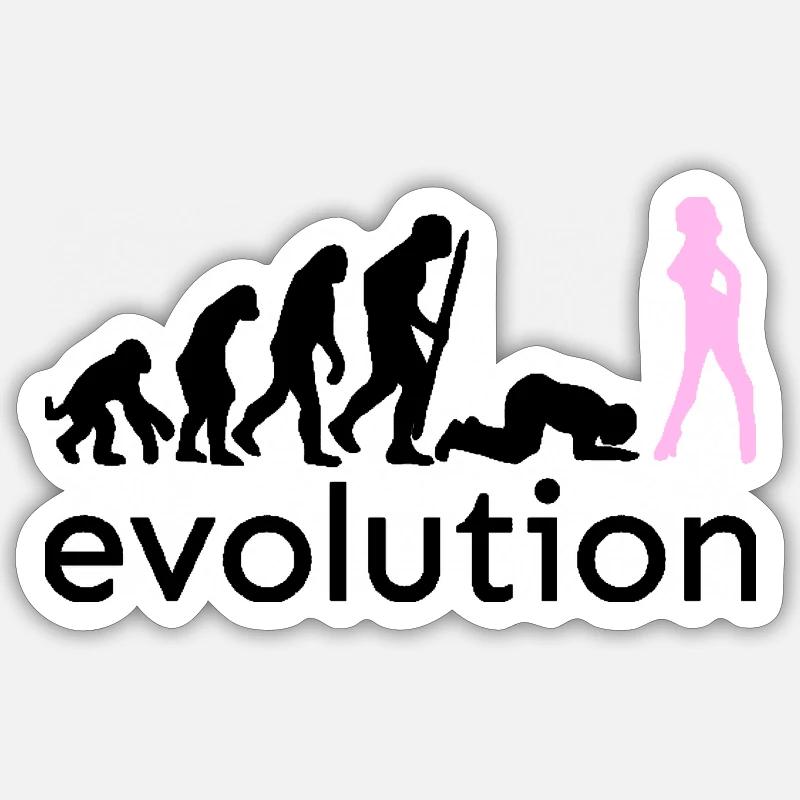 Evolution - Sticker size S (10 x 10 cm) - white matte