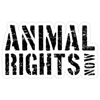 ANIMAL RIGHTS NOW - Sticker size S (10 x 10 cm) - white matte - Front