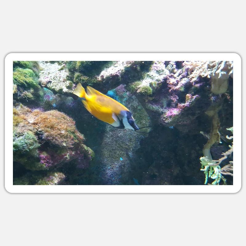 Fish Sticker size S (10 x 10 cm)