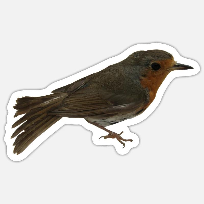 Rotkehlchen Sticker Größe S (10 x 10 cm)