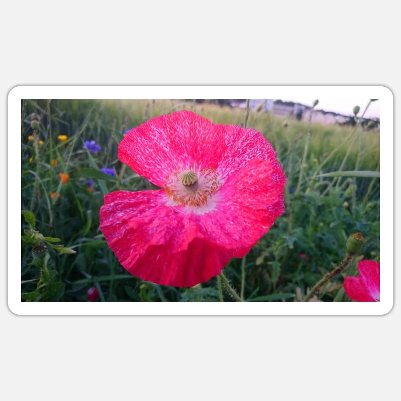 Rote Blume - Sticker Größe S (10 x 10 cm) - Mattweiß