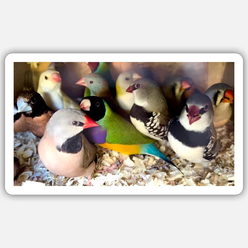 Sticker size S (10 x 10 cm) - 