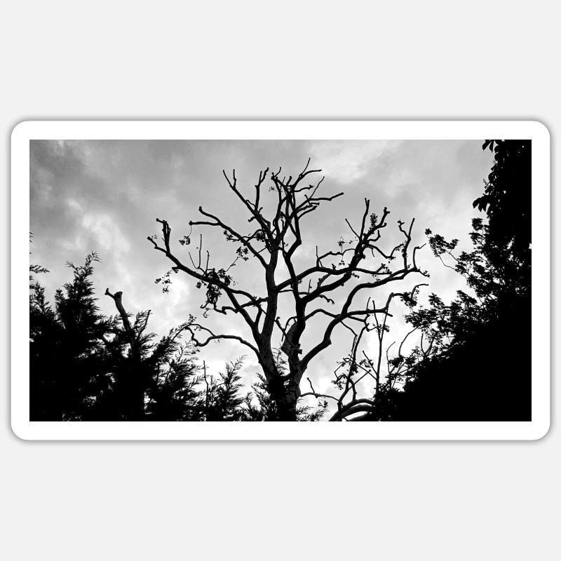 Arbre avec ses branches nues dans le ciel - Sticker taille S (10 x 10 cm) - blanc mat