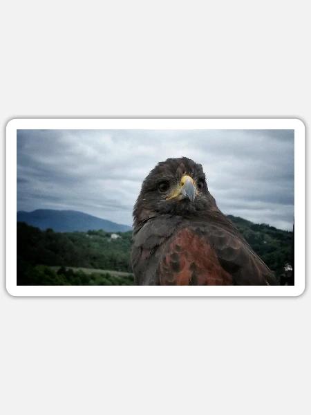Steinadler auf bergiger Landschaft - Sticker Größe S (10 x 10 cm) - Mattweiß