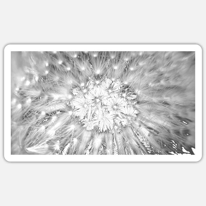 Pissenlit, A731876 - Sticker taille S (10 x 10 cm) - blanc mat