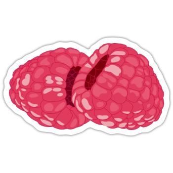 Himbeeren - Sticker Größe S (10 x 10 cm) - Mattweiß - Vorne