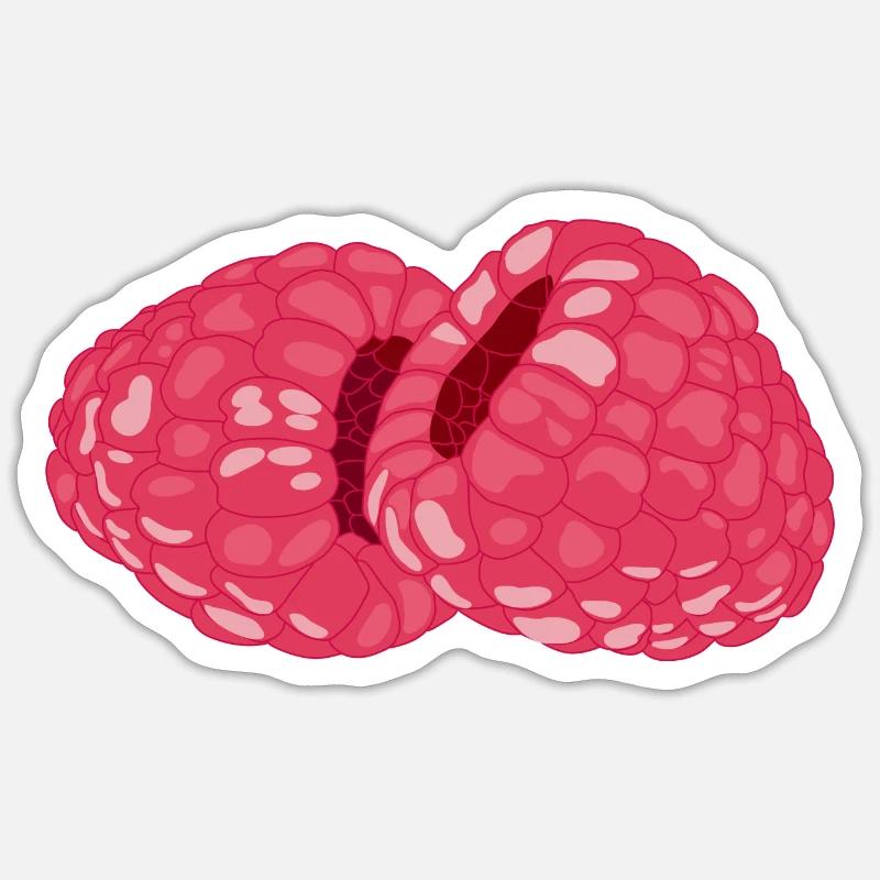 Raspberries - Sticker size S (10 x 10 cm) - white matte