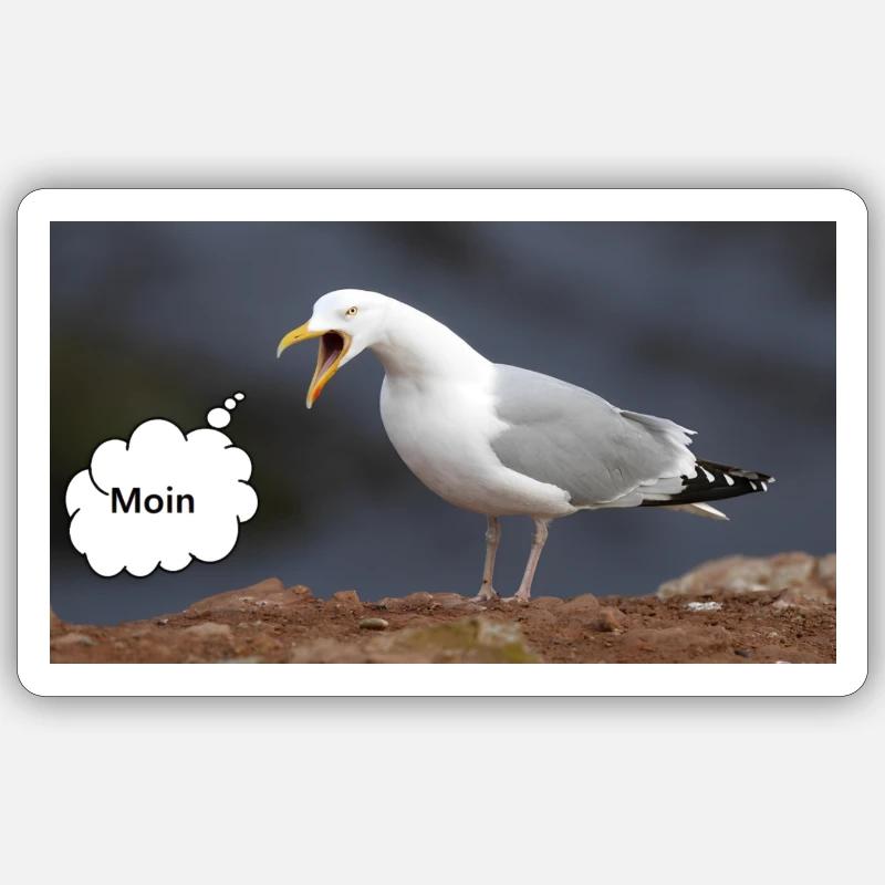 Moin Möwe Sticker Größe S (10 x 10 cm)