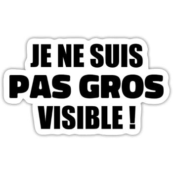 Humour : Je ne suis pas gros, je suis visible ! - Sticker taille S (10 x 10 cm) - blanc mat - Devant