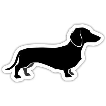 Silhouette du teckel - Sticker taille S (10 x 10 cm) - blanc mat - Devant
