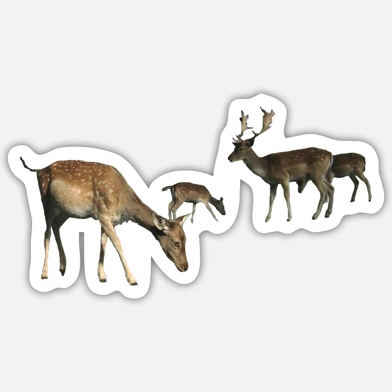 Fallow deer - Sticker size S (10 x 10 cm) - white matte