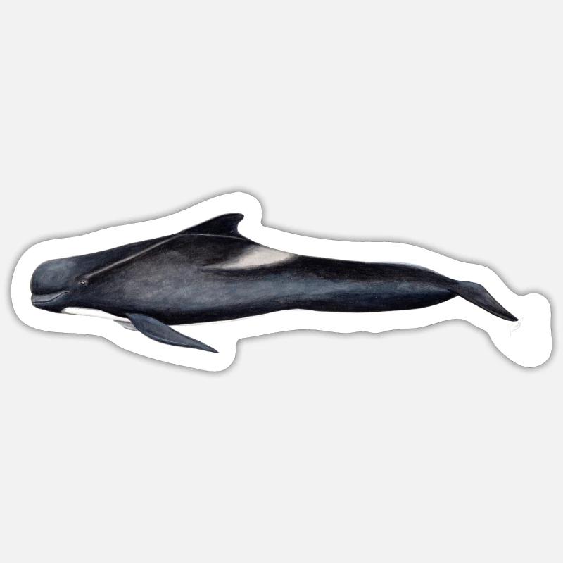 Grindwal - Grindwal - globicéphale noir - Sticker Größe S (10 x 10 cm) - Mattweiß