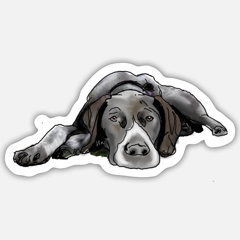 Pointer German Shorthair - Sticker size S (10 x 10 cm) - white matte