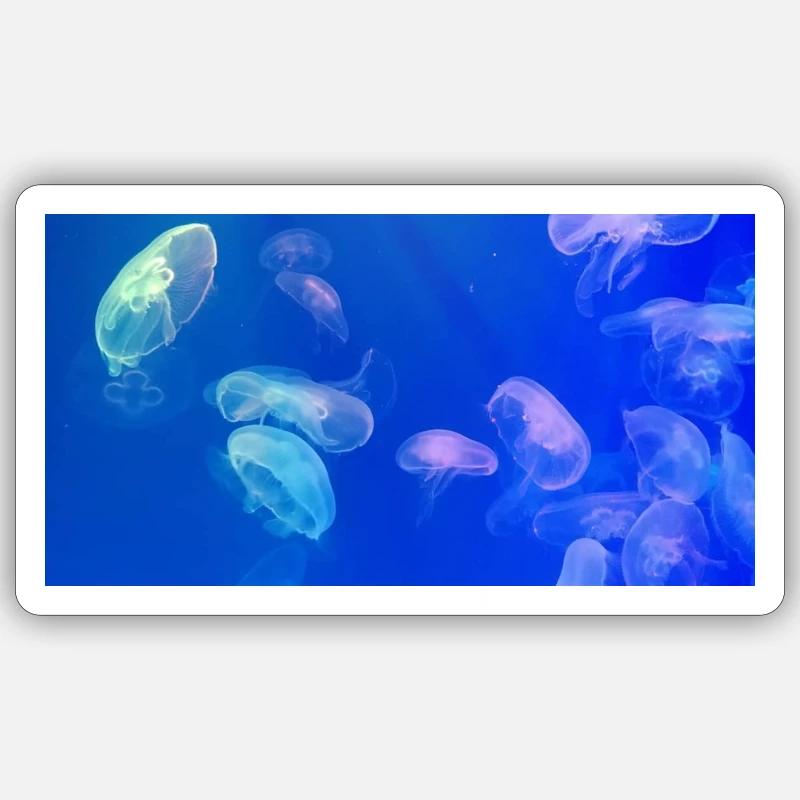 Blue jellyfish pattern - Sticker size S (10 x 10 cm) - white matte