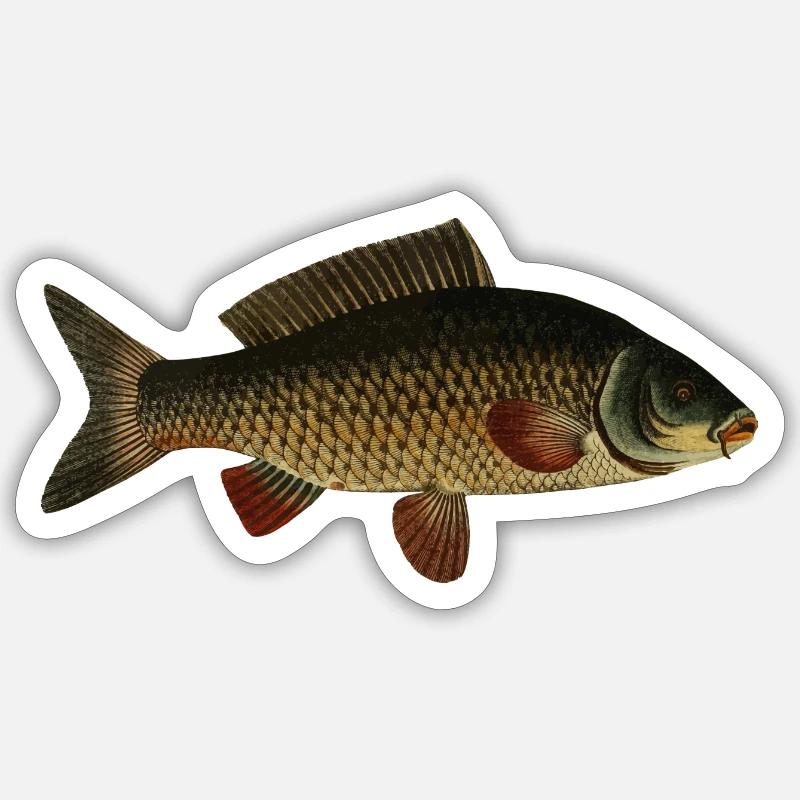 fish107 - Sticker taille S (10 x 10 cm) - blanc mat