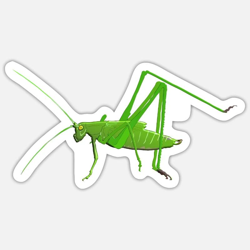 Cricket insecte mantis sauterelle - Sticker taille S (10 x 10 cm) - blanc mat