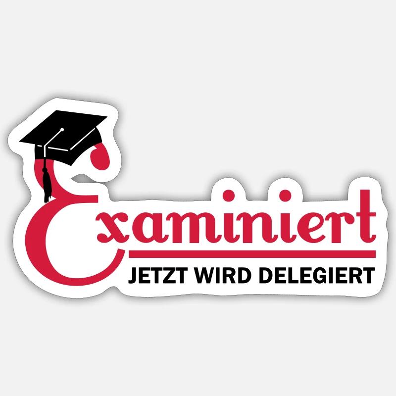 examiniert - jetzt wird delegiert Sticker taille S (10 x 10 cm)