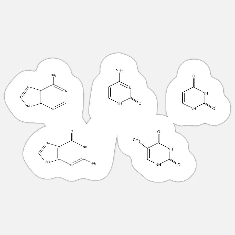 DNA basics Sticker size S (10 x 10 cm)