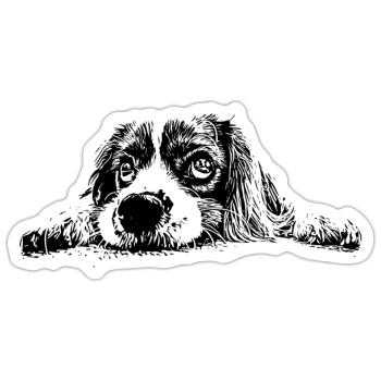 Cocker Spaniel - Sticker taille S (10 x 10 cm) - blanc mat - Devant