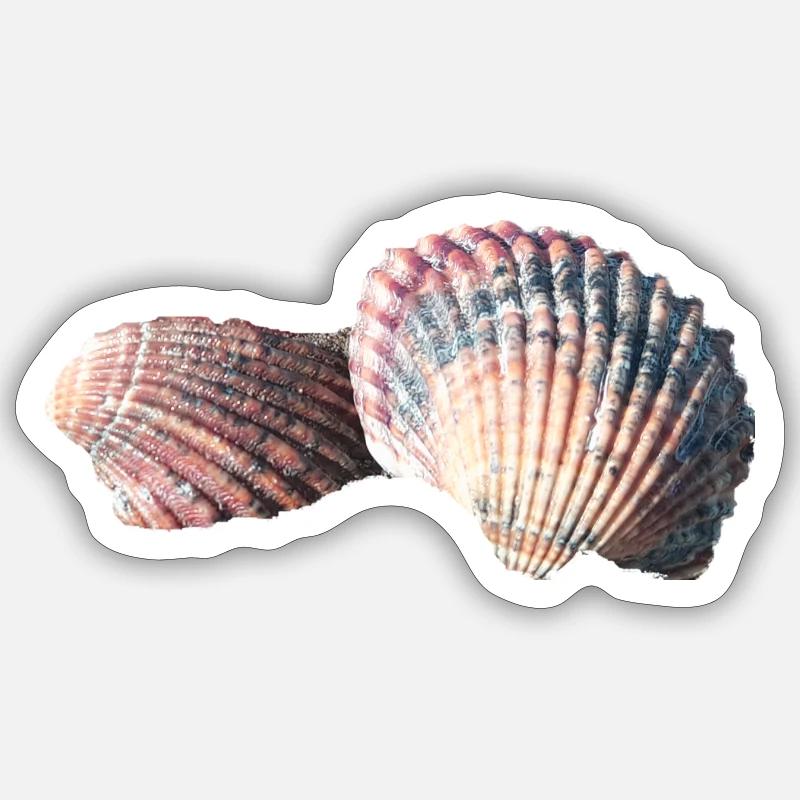 Shells, shells, beach, sea, holidays - Sticker size S (10 x 10 cm) - white matte