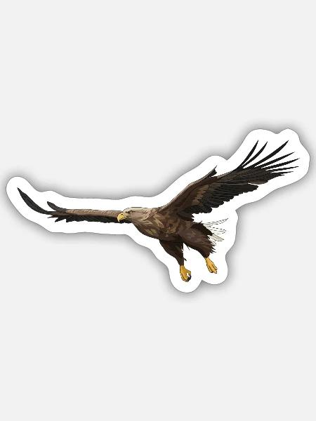 Seeadler Haliaeetus Albicilla Adler - Sticker Größe S (10 x 10 cm) - Mattweiß