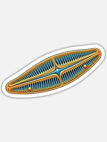 Kieselalge – Goldene Diatomee Mikroskopie - Sticker Größe S (10 x 10 cm) - Mattweiß
